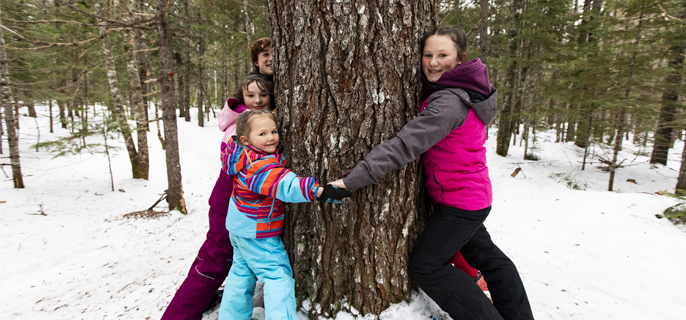 Jours de neige : Carnaval d'hiver